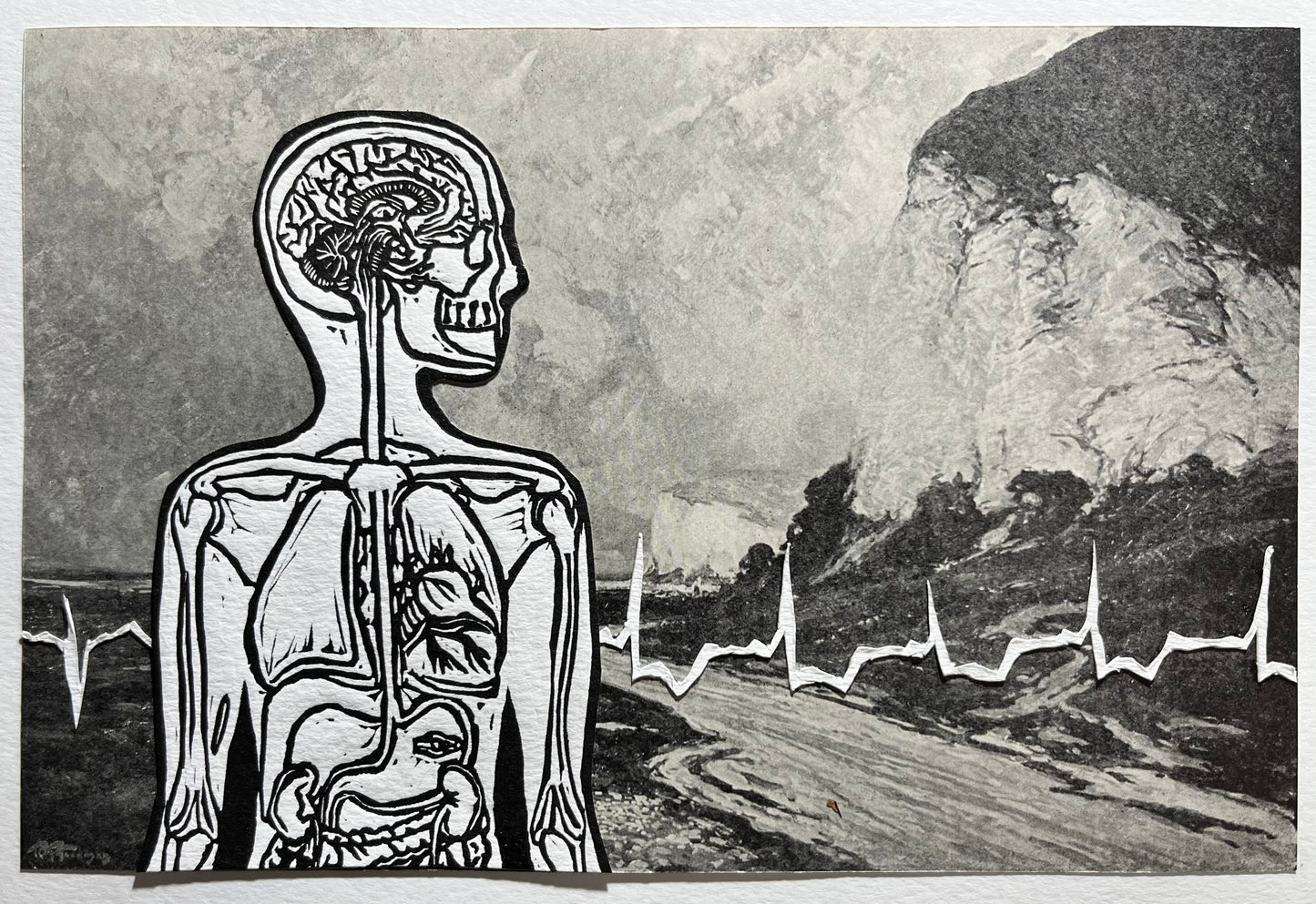 ‘The Disconnect’