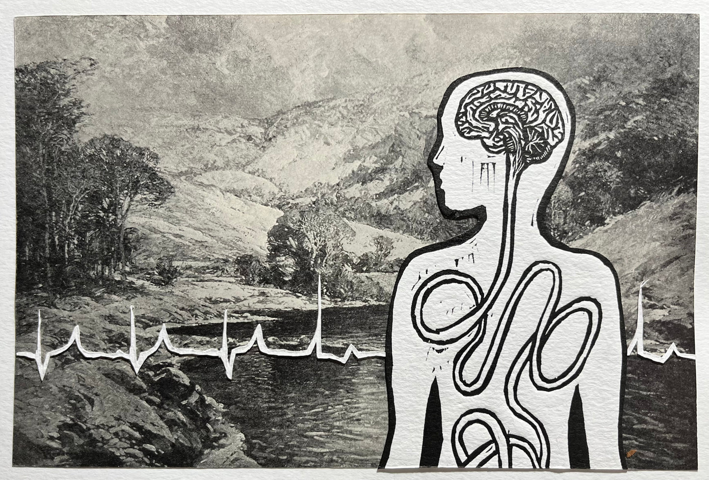‘The Disconnect’